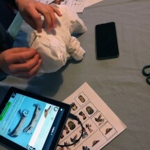 Szülinapi zsúr ajándék ötletek gyerkeknek. Beltéri kincskeresés mobil applikációval, nyomtass és játssz elemekkel, kiterjesztett valóság feladatokkal